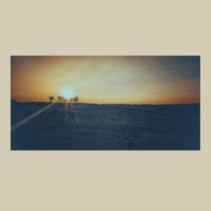 Agafay Desert Sunset Camels | Canvas Photo Print