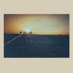 Agafay Desert Sunset Camels | Matte Paper Photo Print